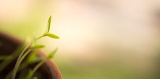 Co zrobić żeby szybciej skończył się okres?