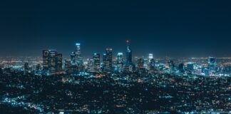 Co to za firma Swanson?