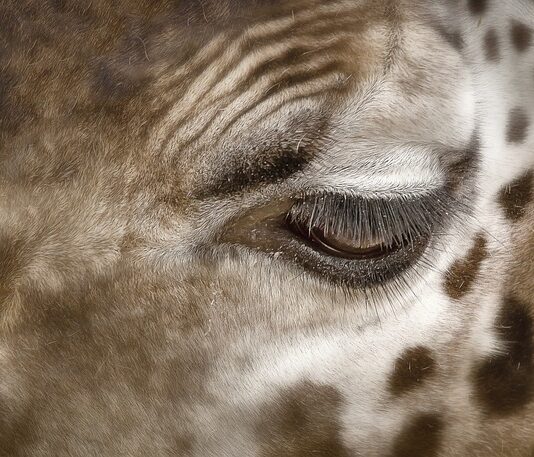 Co oznaczają plamy na płucach?