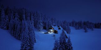 Co jest celem sterylizacji?