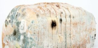 Jak dezynfekować narzędzia?